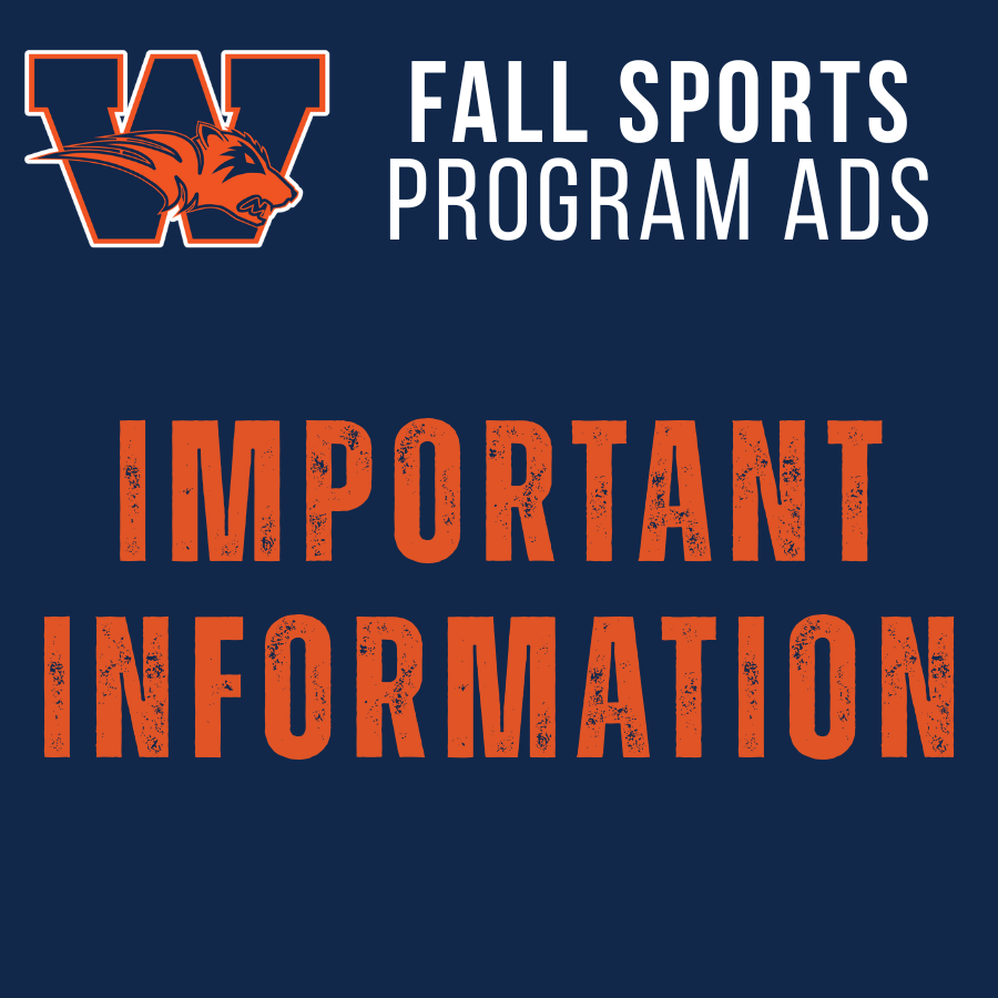 Saxophone Player