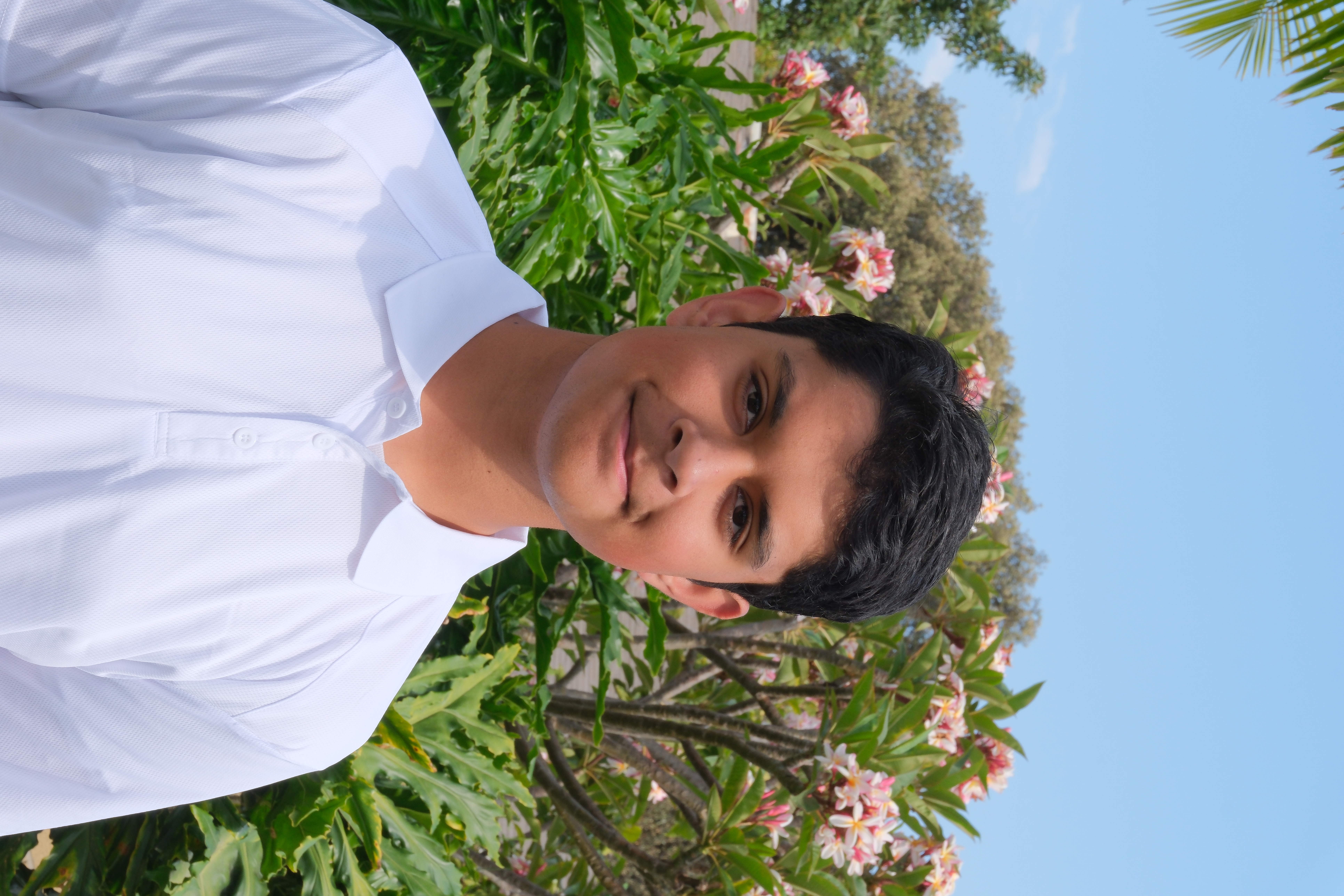 new image
