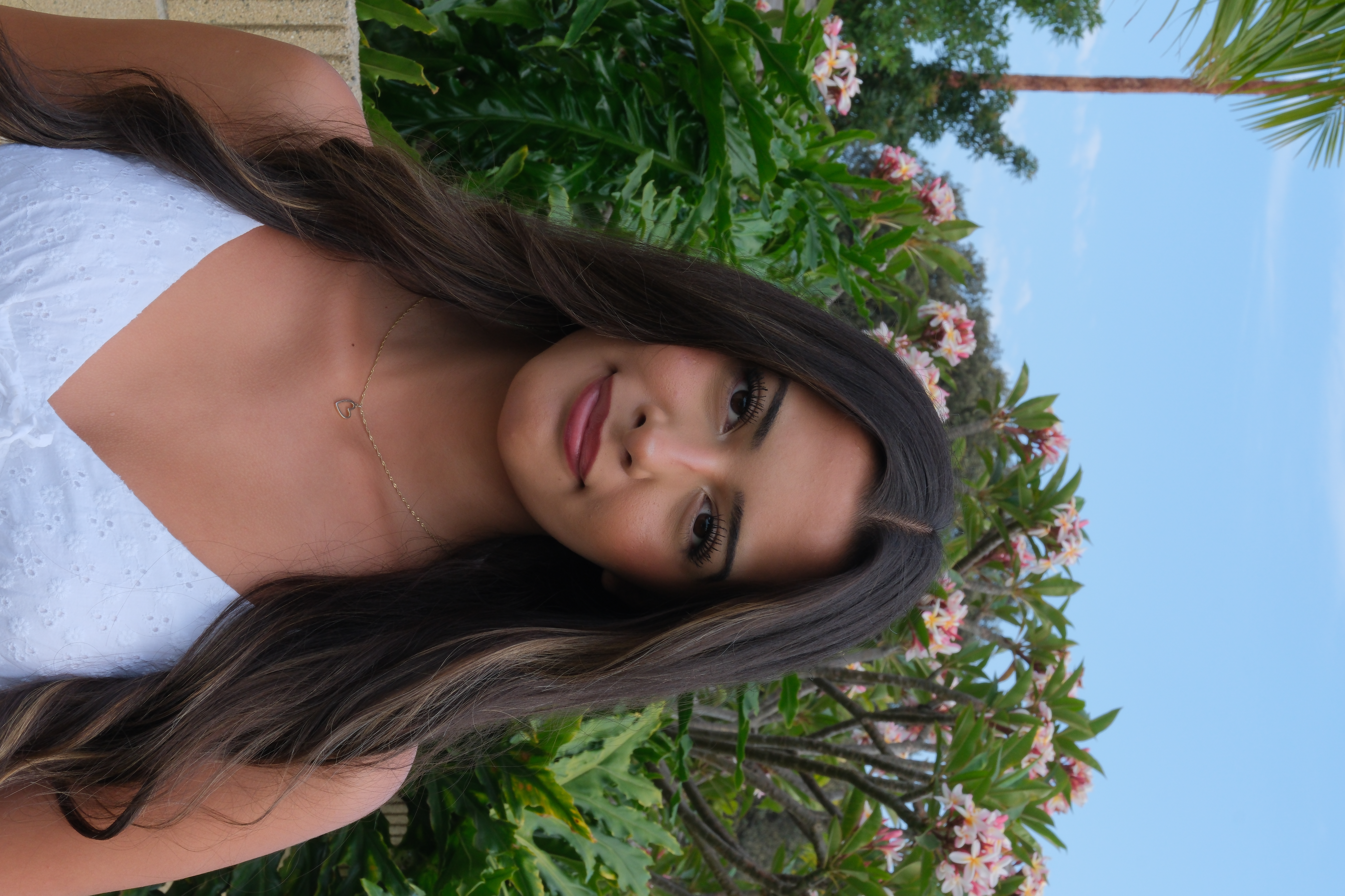 new image