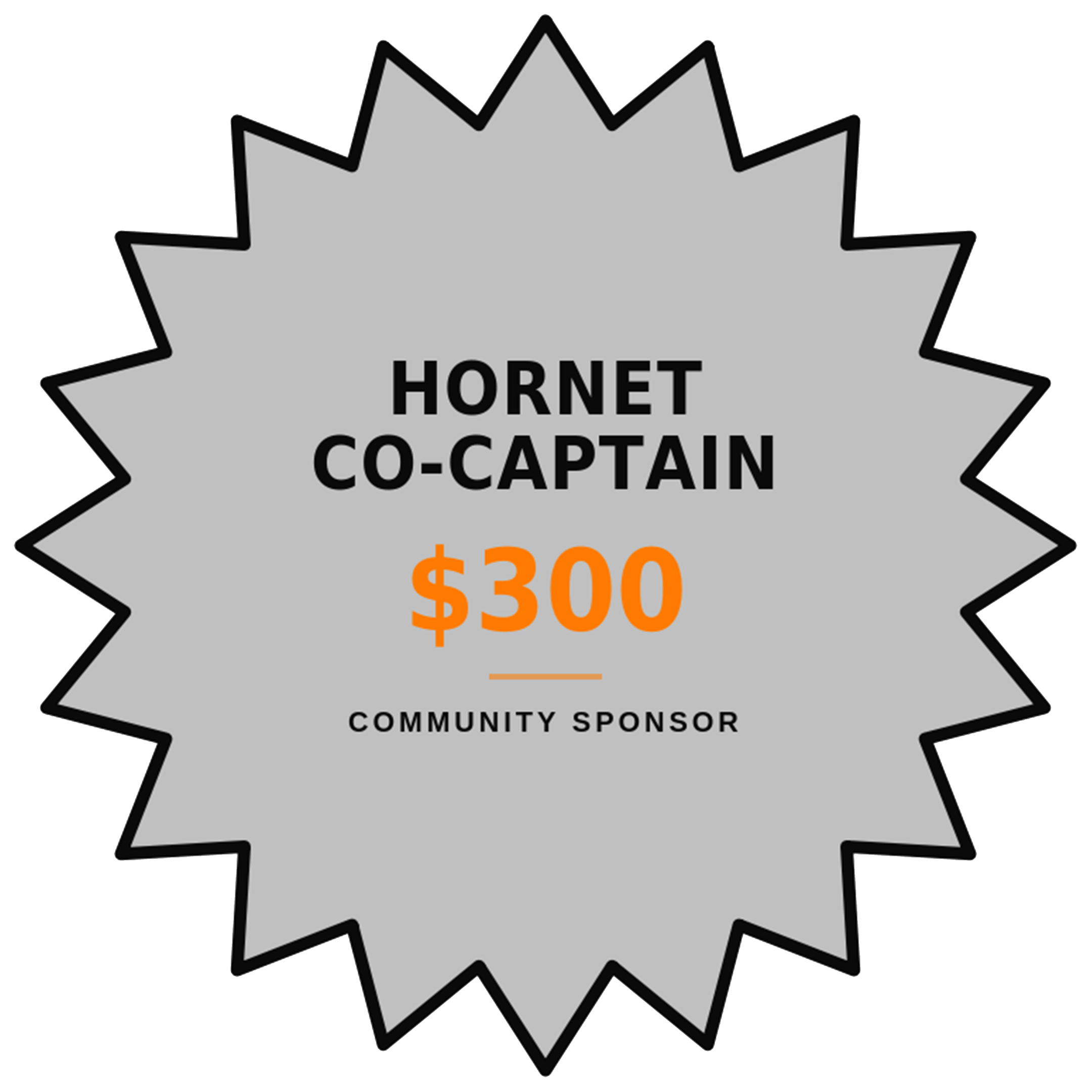 HORNET CO-CAPTAIN