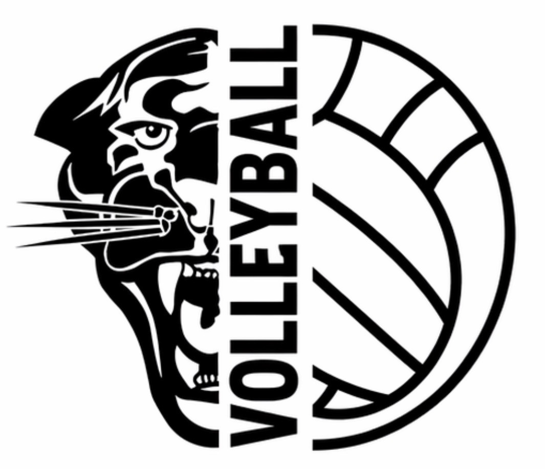 Volleyball Player Fee
