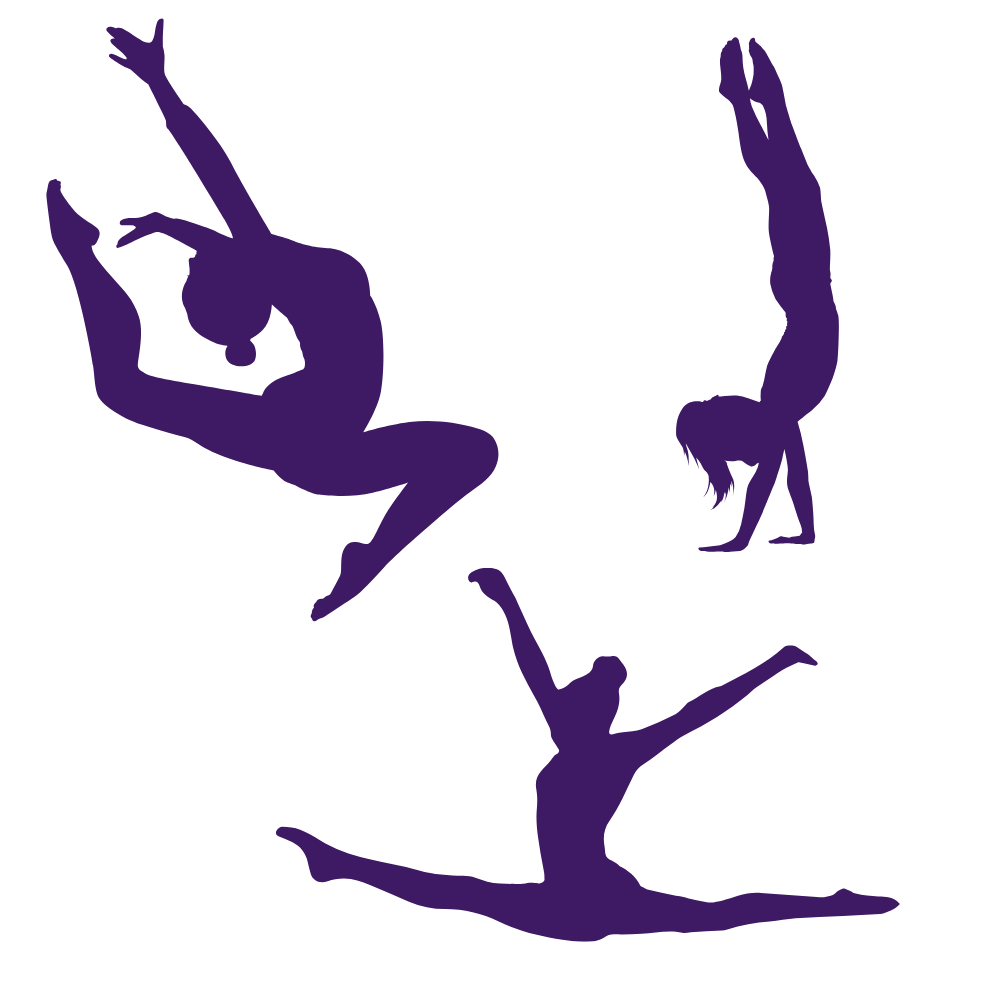 Donate to Charger Gymnastics