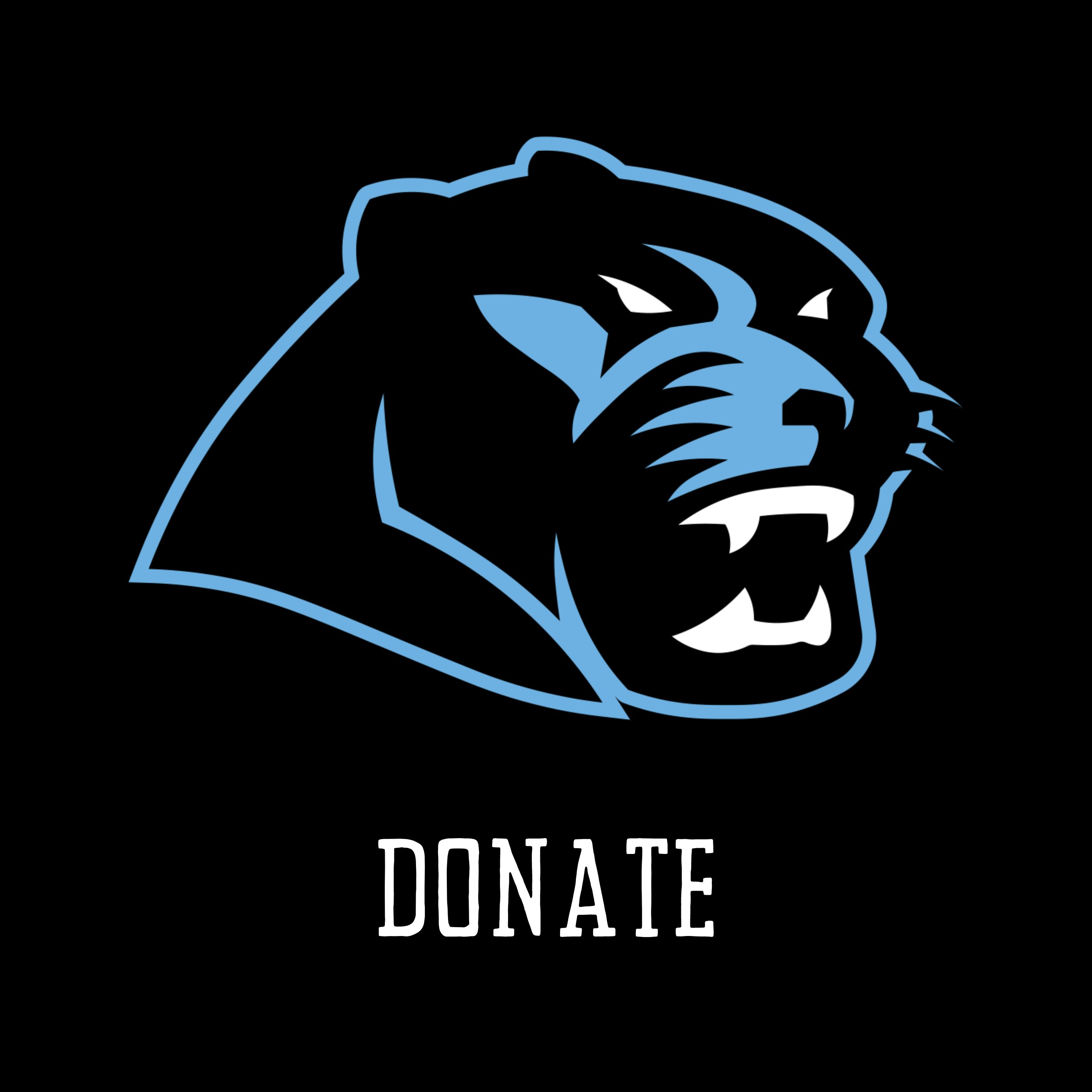 Donate to Paetow Athletics