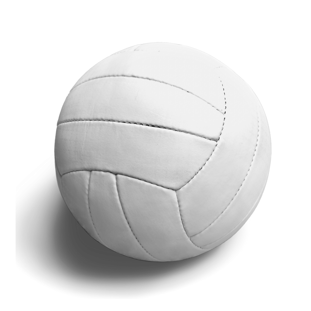 VB Player Fees + Meals